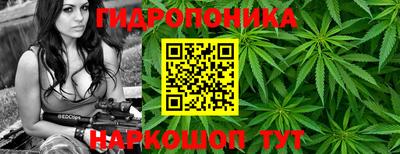 альфа пвп Кингисепп