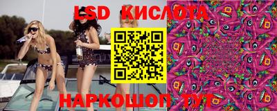 ПСИЛОЦИБИНОВЫЕ ГРИБЫ Коммунар