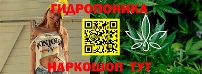 альфа пвп Кингисепп