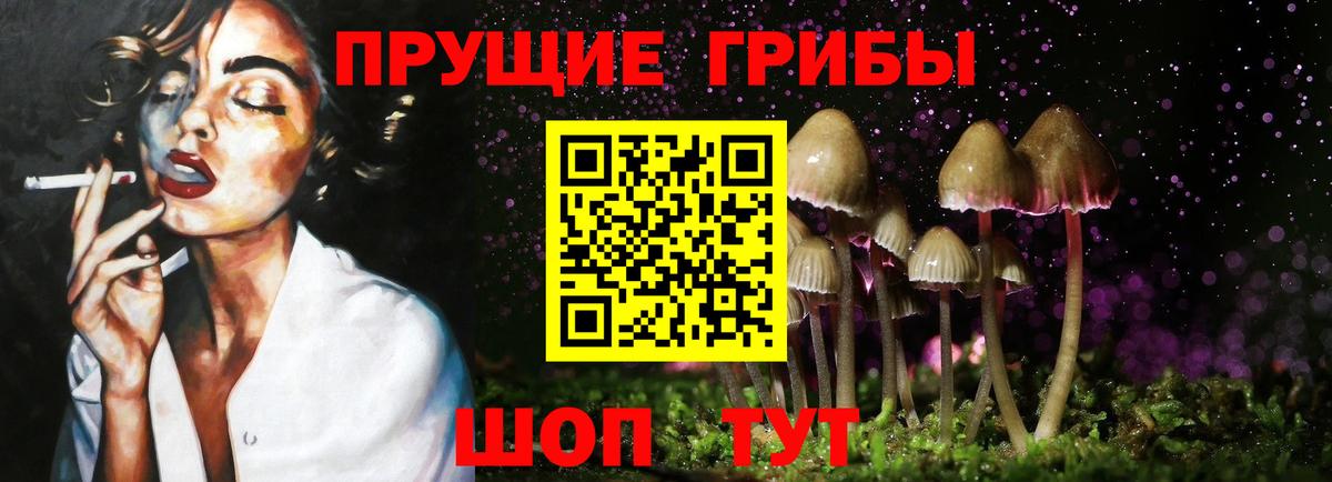 Псилоцибиновые грибы Cubensis  Галлюциногенные грибы ЛСД  Вход с VPN  Киселёвск 